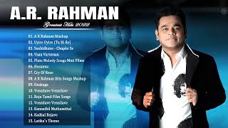 The Best Songs of AR Rahman  AR Rahman Best Instrumental Music Collection [upl. by Indihar593]