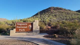 Saguaro National Park [upl. by Lancelle]