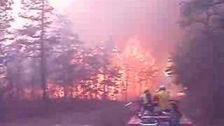 Pine Barrens brush fire crowning [upl. by Homerus]