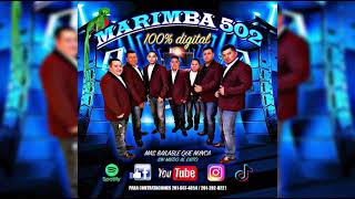 MARIMBA 502 MIX EL ALACRAN Nuevo 2021 [upl. by Hallerson456]