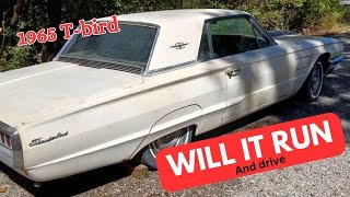 Find of the Year 1965 Tbird [upl. by Basil]