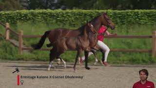 Eowyn Key SR Z Ermitage Kalone X Cornet Obolensky [upl. by Colwell]