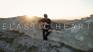 Sia  Elastic Heart Acoustic Cover by Dave Winkler [upl. by Middle139]