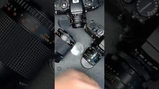 Leica R mount lens options [upl. by Erasaec]