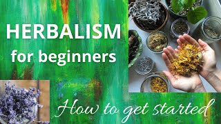 Herbalism for beginners  How to get started [upl. by Cyma]