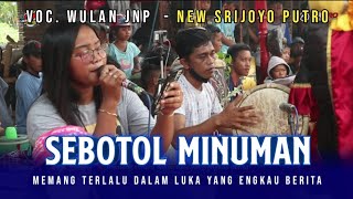 SEBOTOL MINUMAN  Voc Wulan JNP Versi Jaranan NEW SRIJOYO PUTRO Shafira Audio Live Kaloran 2022 [upl. by Polak]