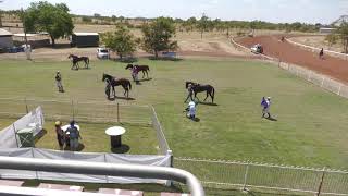 Cloncurry 20240914 Race 1 [upl. by Phail502]