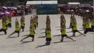 Calamba National High School CHAMPIONSMOV [upl. by Naellij911]