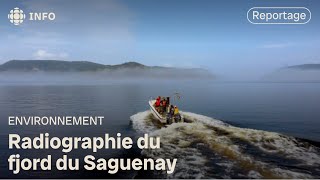 Un meilleur portrait de la biodiversité dans le Saguenay  Découverte [upl. by Izawa506]