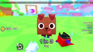 👀 new game by big games™® pet rng Pets go Roblox [upl. by Noved990]