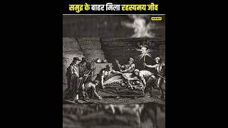 🤯 समुद्र के बाहर मिला विशालकाय जीव 🦑 Mystery of Mosasaurus 😱🤯 shorts [upl. by Ohaus]