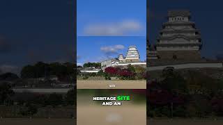 Discover Japans Stunning Castles A Historical Journey travel [upl. by Colb]