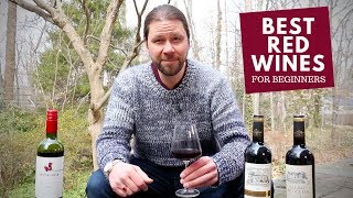 The Best Red Wines For Beginners Series 6 Malbec [upl. by Halyahs]