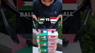 Country Ball Experiment  Palestine vs Indonesia  Who Won experiment countryballs asmr diy [upl. by Laertnom]