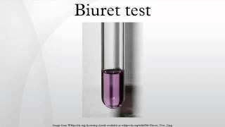 Biuret test [upl. by Windham88]