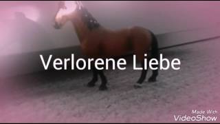 Verlorene Liebe Trailer [upl. by Leoine]