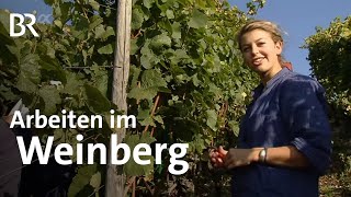 Winzerin  Ausbildung  Beruf  Ich machs  BR [upl. by Tniassuot778]