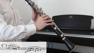 Poulenc Clarinet Sonata FP 184  III Allegro con fuoco [upl. by Ingalls]