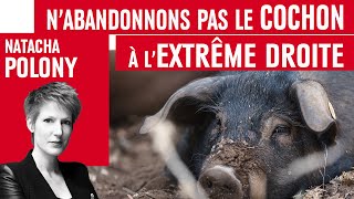 N’abandonnons pas le cochon à l’extrême droite [upl. by Assirek]