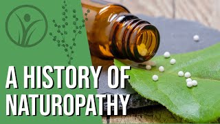 What is Naturopathy  History explained [upl. by Naujet902]