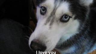 Mishka says quotI love youquot  SUBTITLED [upl. by Salokkin]