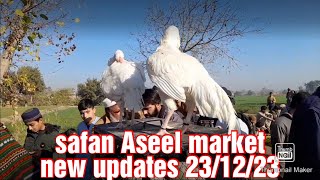 safan Aseel murgha Mandi new updates 231223 [upl. by Garvey]