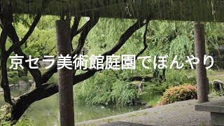 京セラ美術館庭園でぼんやり Kyoto museum garden [upl. by Anial]