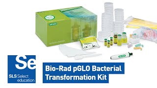 WEBINAR Demonstrating gene regulation using the Bio Rad pGLO Bacterial Transformation Kit [upl. by Betti931]