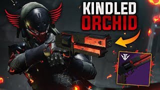 Kindled Orchid Hand Cannon in PVP and its not bad 55 Defeats [upl. by Kovacs222]