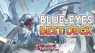 BlueEyes Just Turned Into The BEST Deck With This BROKEN NEW Support YuGiOh [upl. by Garling]