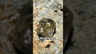 Kimberlite Chronicles Your Daily Dose kimberlite rockoftheday [upl. by Nnaaihtnyc]