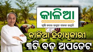 Kalia Yojana 3New UpdateKalia Yojana Payment Released Date 2024 [upl. by Leviram663]