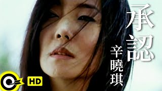 辛曉琪 Winnie Hsin【承認 Admitting】Official Music Video [upl. by Naitsihc]