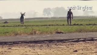 धारा 144 jaat new song जाटो का अड्डा [upl. by Kraska]