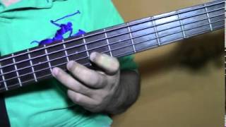 mi tesoro bass [upl. by Ratha794]