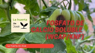 Fosfato de calcio soluble WCAPKNF  La Huerta de José [upl. by Iggem]