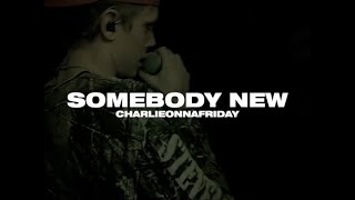 charlieonnafriday  Somebody New Lyric Video [upl. by Simeon414]