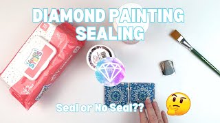 Should You Seal Your Diamond Paintings  Diamond Painting Tools amp Tips [upl. by Budworth12]