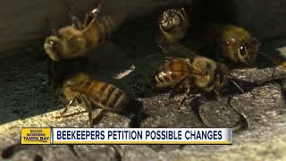 Buzzkill for beekeepers New rules could give more power to pest control [upl. by Sivraj489]