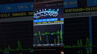 Quantum DRD M3  CW DECODE LIVE [upl. by De Witt998]