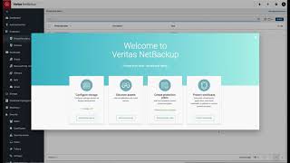 NetBackup CloudPoint AWS Setup and Configuration [upl. by Nola]