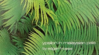 Edgar Froese  Epsilon In Malaysian Pale Original CD [upl. by Bonita]