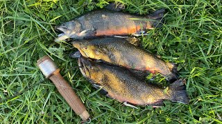 Easy fishing method for PICKY brook trout Weightless worms and the fall spawn [upl. by Netsreik916]