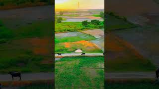 So beautiful village trendingnow westvillage trendingvideos kingsvillages westvillage love [upl. by Craner158]