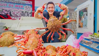 Morocco Street Food 🇲🇦 SPIDER CRAB  Best Moroccan Food in Casablanca [upl. by Friedlander]