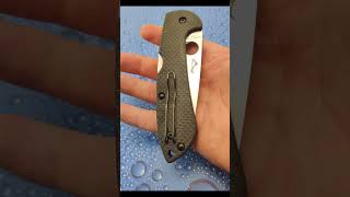 Spyderco Sprint Run Siren CF [upl. by Edmon]