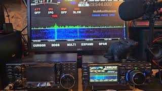 Icom ic7300 vs ft710 amplitude modulation AM [upl. by Dnalhsa]