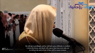 Heart Touching Recitation  Nasser Al Qatami  Surah Ibrahim 🖤🍂 [upl. by Jemma854]