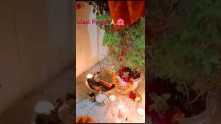 Tulasi Pooja Lahr Lahr lahraye reJessie baby [upl. by Philipps]