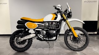 Custom Scrambler 1200 XE for sale at Triumph London [upl. by Derag857]